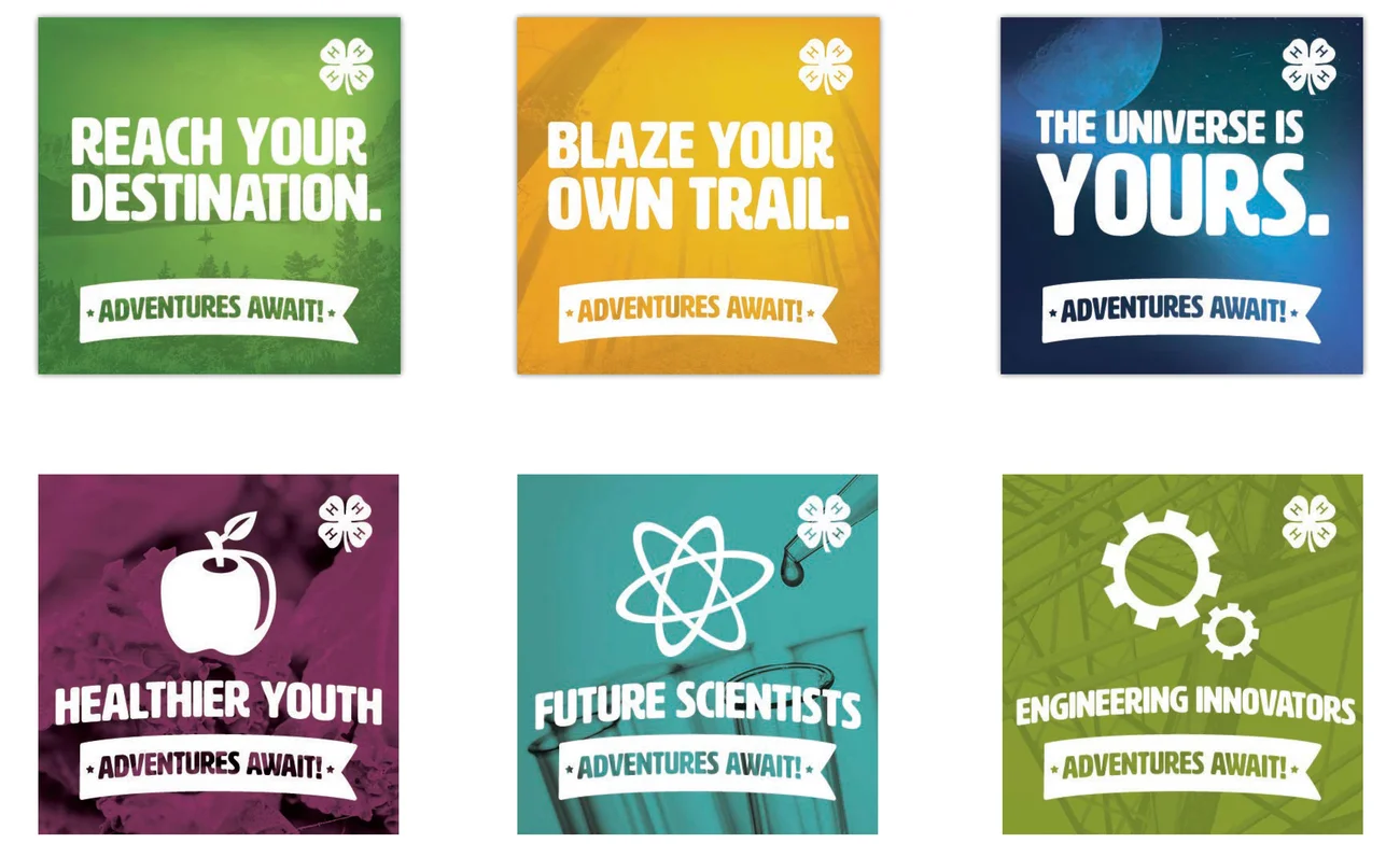 A set of posters with the words'explore your own trail'.