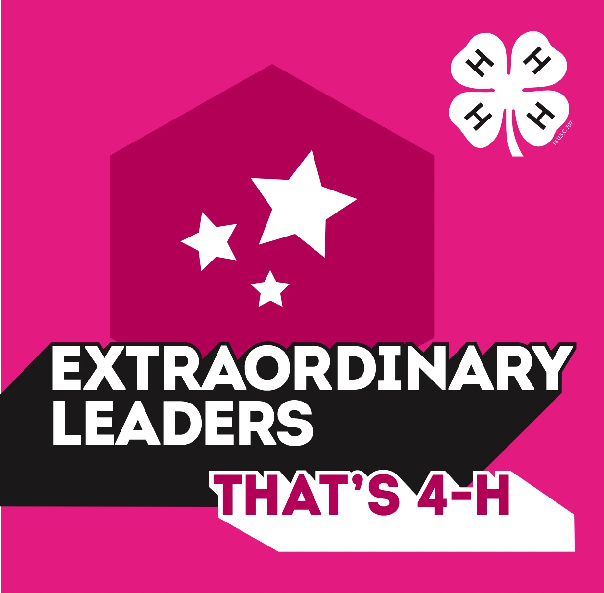 Extraordinary leaders that's 4 h.
