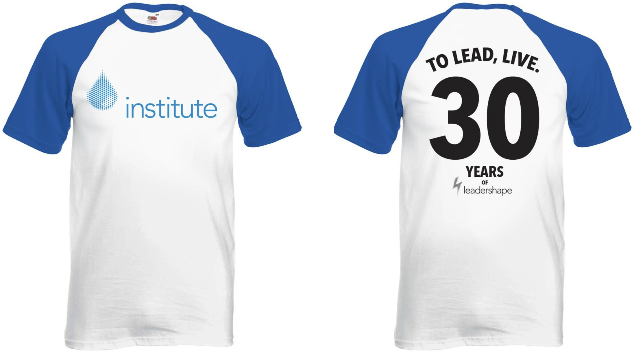 Institute 30th anniversary t-shirt.
