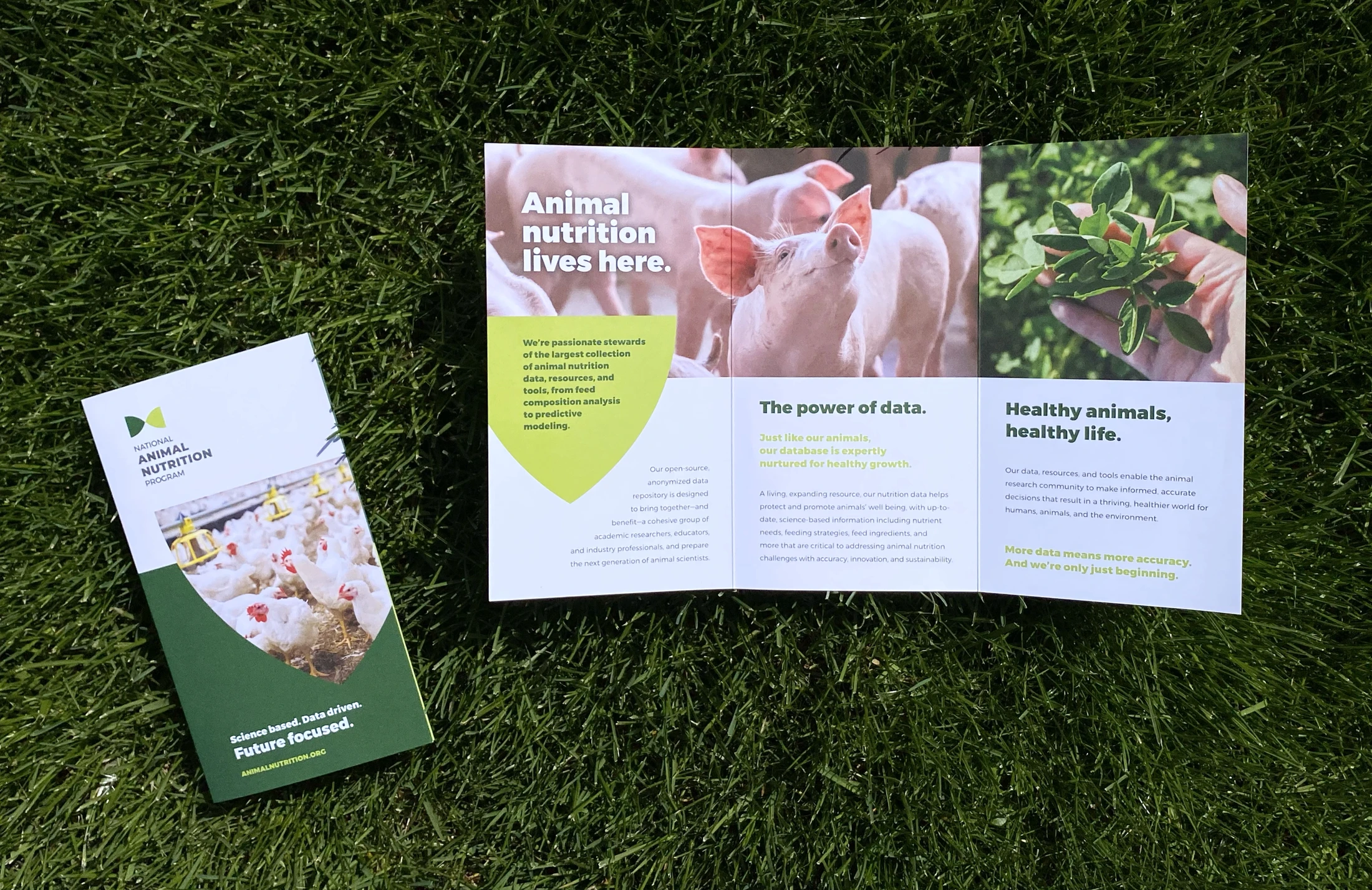 A farm brochure laying on the grass.