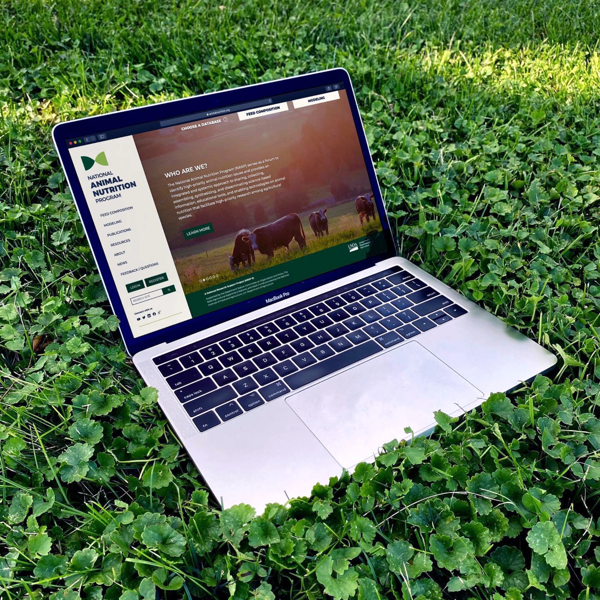 A laptop laying in the grass with a website on it.