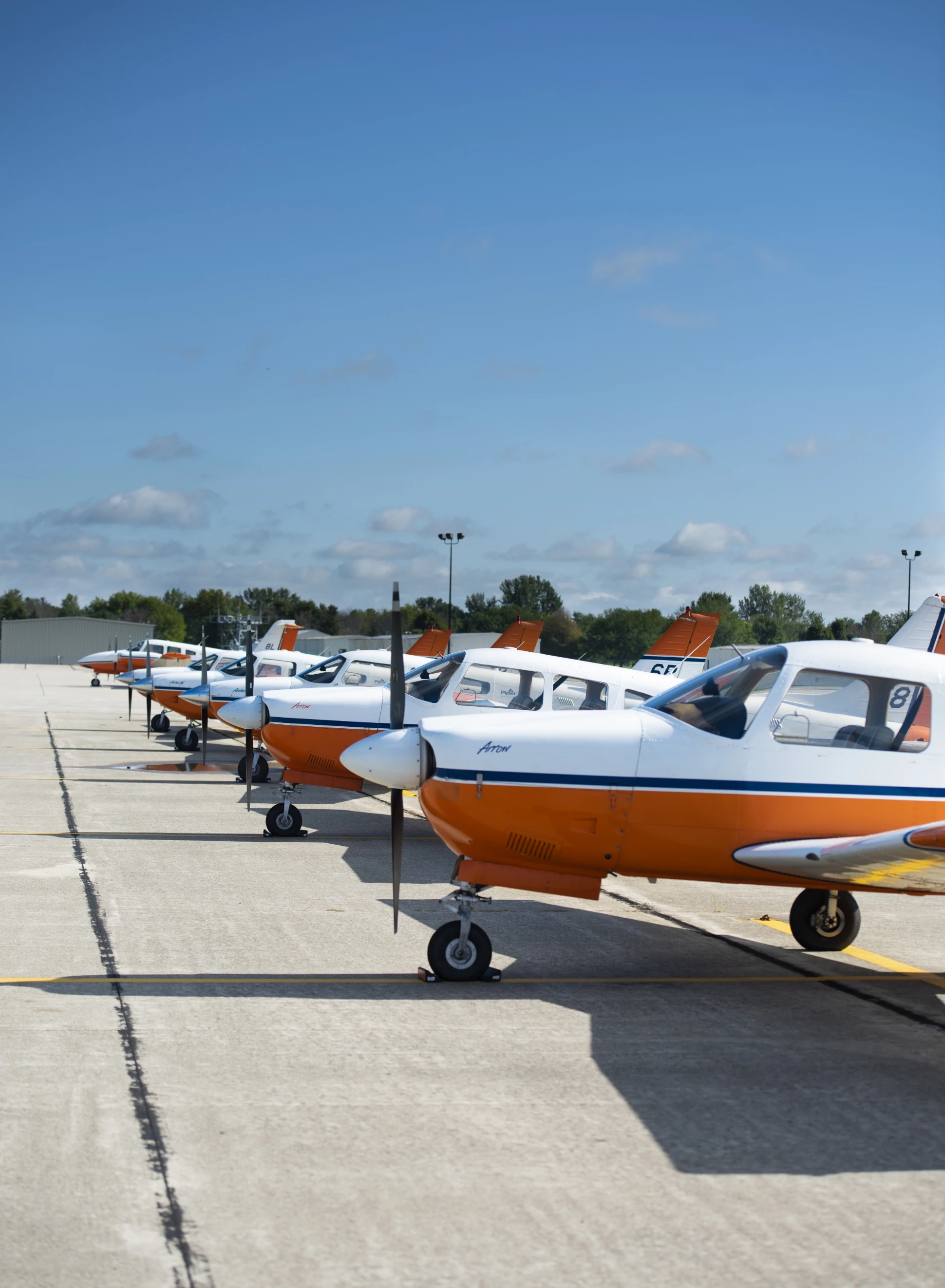 A lineup of small aircraft on a runway.