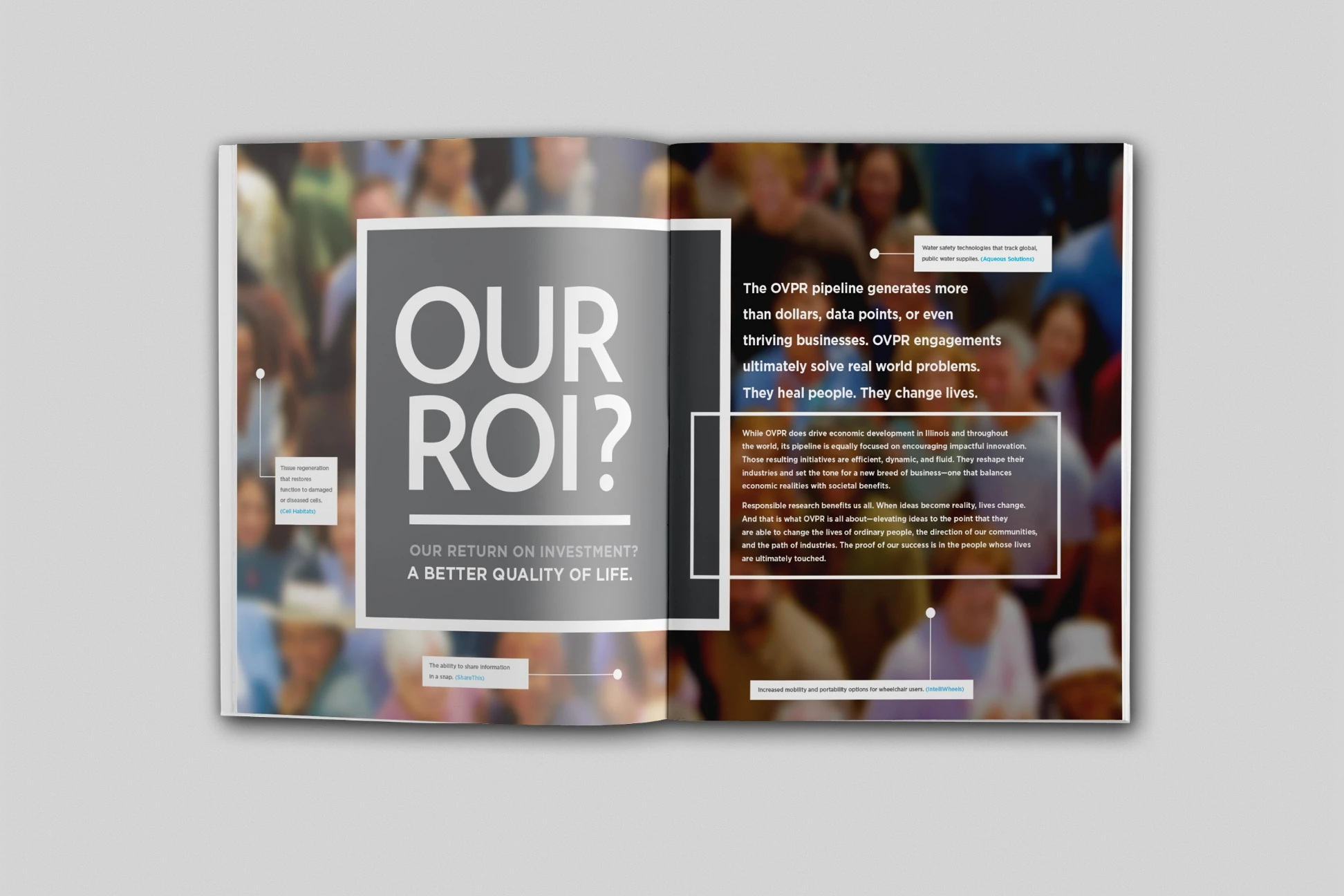 Our roo brochure design.